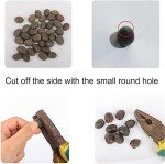 10pcs Colorful Lotus Seeds for Indoor and Outdoor Gardens