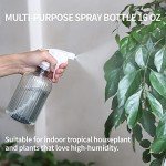 Small 34oz Watering Can with Long Spout for Plants