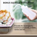 Small 34oz Watering Can with Long Spout for Plants