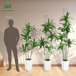 6FT Artificial Dracaena Tree with White Planter