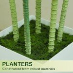 6FT Artificial Dracaena Tree with White Planter