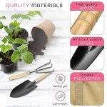 Stainless Steel Gardening Tools Set for Women