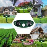 Ultrasonic Solar Animal Repeller, 2 Pack