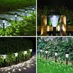 GIGALUMI 12 Pack Solar Pathway Lights