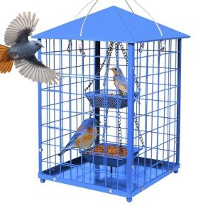 Squirrel-Proof Metal Bird Feeder for Bluebirds