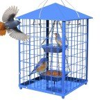 Squirrel-Proof Metal Bird Feeder for Bluebirds