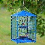 Squirrel-Proof Metal Bird Feeder for Bluebirds