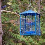 Squirrel-Proof Metal Bird Feeder for Bluebirds