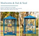Squirrel-Proof Metal Bird Feeder for Bluebirds