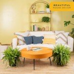 Boston Fern Live Plant in Hanging Basket