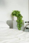 32" Lifelike Fake Pothos Ivy Plant - Light Green
