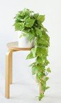 32" Lifelike Fake Pothos Ivy Plant - Light Green