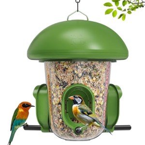 Triple Chamber Weatherproof Bird Feeder for Outdoors