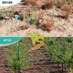 Stainless Steel Deep Root Watering Tool for Trees