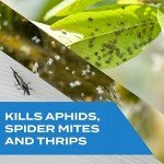 Plant Safe Insect Spray for Indoor & Outdoor