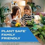 Plant Safe Insect Spray for Indoor & Outdoor
