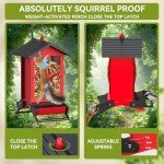 Squirrel-Proof Metal Bird Feeder for Outdoors
