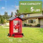 Squirrel-Proof Metal Bird Feeder for Outdoors