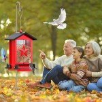 Squirrel-Proof Metal Bird Feeder for Outdoors