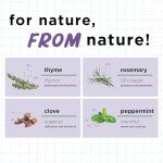 Earth's Ally 3-in-1 Plant Spray Concentrate 32 oz