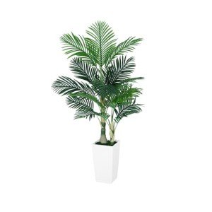 5FT Golden Cane Palm Tree with White Planter