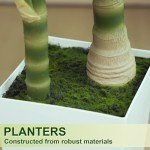 5FT Golden Cane Palm Tree with White Planter