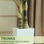 5FT Golden Cane Palm Tree with White Planter