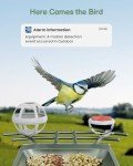 Smart Bird Feeder Cam with Solar Power