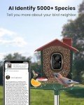 Smart Bird Feeder Cam with Solar Power