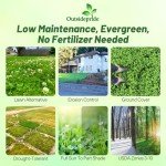 Outsidepride Perennial White Dutch Clover Seed - 1 lbs. Nitrocoated, Inoculated Clover Seeds for Lawn Alternative, Erosion Control, Food Plots, Ground Cover, & Pasture Mixtures in USDA Zones 3-10