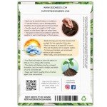 Seed Needs Italian Large Leaf Basil Seeds for Planting - Non-GMO, Heirloom & Untreated - Organically Grow an Indoor or Outdoor Home Grown Herb Garden (1 Pack)