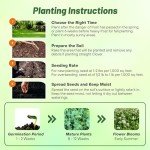 Outsidepride Perennial White Dutch Clover Seed - 1 lbs. Nitrocoated, Inoculated Clover Seeds for Lawn Alternative, Erosion Control, Food Plots, Ground Cover, & Pasture Mixtures in USDA Zones 3-10