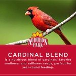 Audubon Park Cardinal Blend Wild Bird Food, Cardinal Bird Seed for Outside Feeders, 4-Pound Bag