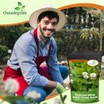 Outsidepride Perennial White Dutch Clover Seed - 1 lbs. Nitrocoated, Inoculated Clover Seeds for Lawn Alternative, Erosion Control, Food Plots, Ground Cover, & Pasture Mixtures in USDA Zones 3-10