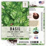 Seed Needs Italian Large Leaf Basil Seeds for Planting - Non-GMO, Heirloom & Untreated - Organically Grow an Indoor or Outdoor Home Grown Herb Garden (1 Pack)