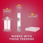 Audubon Park Cardinal Blend Wild Bird Food, Cardinal Bird Seed for Outside Feeders, 4-Pound Bag