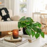 DILATATA Fake Plants Indoor 8 Inch Artificial Pothos Plant in Black Plastic Pot - Faux Potted Pothos Plant for Home Aesthetic Decor Living Room Shelf Office
