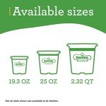 Bonnie Plants Rosemary Live Edible Aromatic Herb Plant - 4 Pack, Perennial In Zones 8 to 10, Great for Cooking & Grilling, Italian & Mediterranean Dishes, Vinegars & Oils, Breads