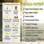 Rare Coleus Popular Ornamental Plant Vibrant Foliage Easy to Maintain Adding Vibrant Accents to Gardens and Containers Used in Container Gardening, Hanging Baskets Outdoor 100Pcs by YEGAOL Garden