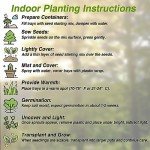 Rare Coleus Popular Ornamental Plant Vibrant Foliage Easy to Maintain Adding Vibrant Accents to Gardens and Containers Used in Container Gardening, Hanging Baskets Outdoor 100Pcs by YEGAOL Garden