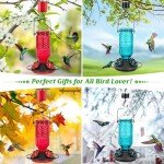 FEED GARDEN Glass Hummingbird Feeder for Outdoors Hanging, 16 OZ Humming Birds Feeders with 4 Bee Guard Feeding Ports & Built-in Ant Moat, Bird Feeder for Outside, Gifts for Women Mom, Red