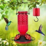 FEED GARDEN Glass Hummingbird Feeder for Outdoors Hanging, 16 OZ Humming Birds Feeders with 4 Bee Guard Feeding Ports & Built-in Ant Moat, Bird Feeder for Outside, Gifts for Women Mom, Red