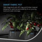 AC Infinity Heavy Duty Fabric Pots, 7 Gallon Aeration Grow Bags 5-Pack with 500G Thick Nonwoven Fabric and Multi-Purpose Rings, for Low Stress Plant Training Fruits, Vegetables, and Flowers