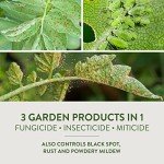 Garden Safe Fungicide 3 32 Oz. Ready to Use Trigger Spray Fungicide - 1 Each