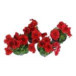 Petunia Red Flowers for Delivery Prime (4 PK), Fresh Flowers in Flower Pots for Outdoor Flowers, Petunia Plants Live Flowering Plants Live Houseplants or Outdoor Plants Real Flowers by Plants for Pets