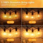 Brightown Outdoor String Lights - Connectable Dimmable LED Patio String Lights with G40 Globe Plastic Bulbs, All Weatherproof Hanging Lights for Outside Backyard Porch (50 ft - 25 LED Bulbs)