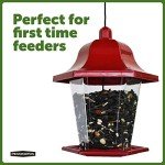 Pennington Songbird Lantern Bird Feeder, Red, 8 inches high 6 inches Wide at top, (100511311)
