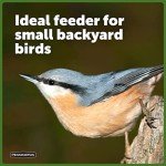 Pennington Songbird Lantern Bird Feeder, Red, 8 inches high 6 inches Wide at top, (100511311)