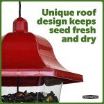 Pennington Songbird Lantern Bird Feeder, Red, 8 inches high 6 inches Wide at top, (100511311)