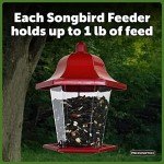 Pennington Songbird Lantern Bird Feeder, Red, 8 inches high 6 inches Wide at top, (100511311)